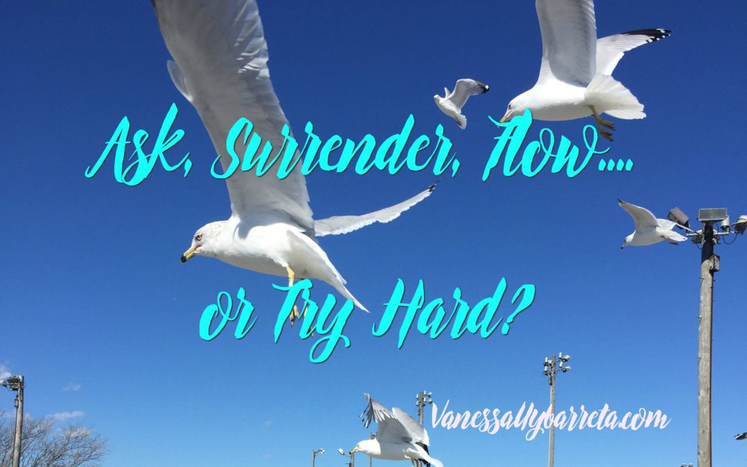 Ask, Surrender, Flow..or try hard?