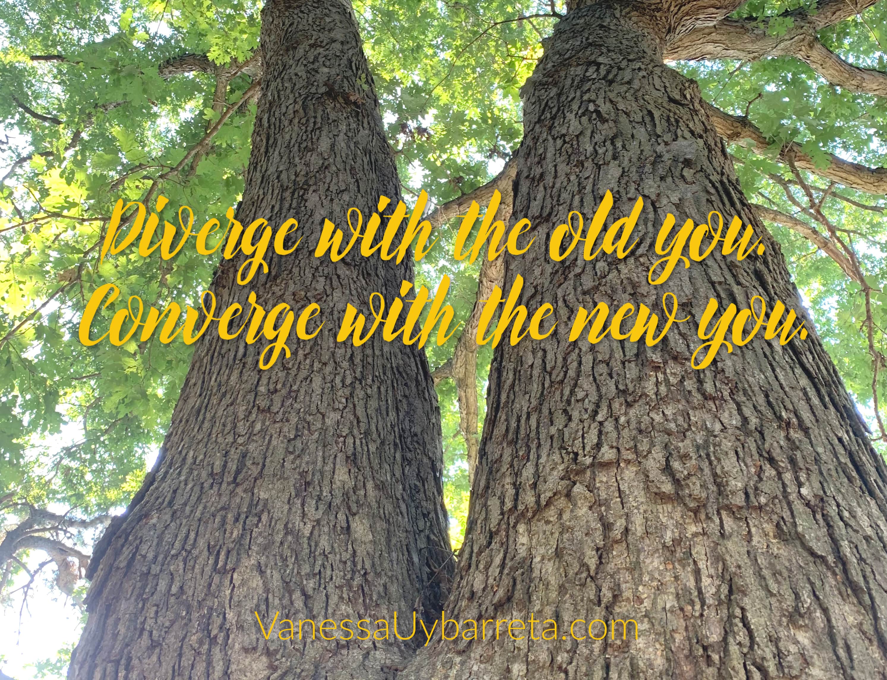 Diverge with the old you. Converge with the new you.