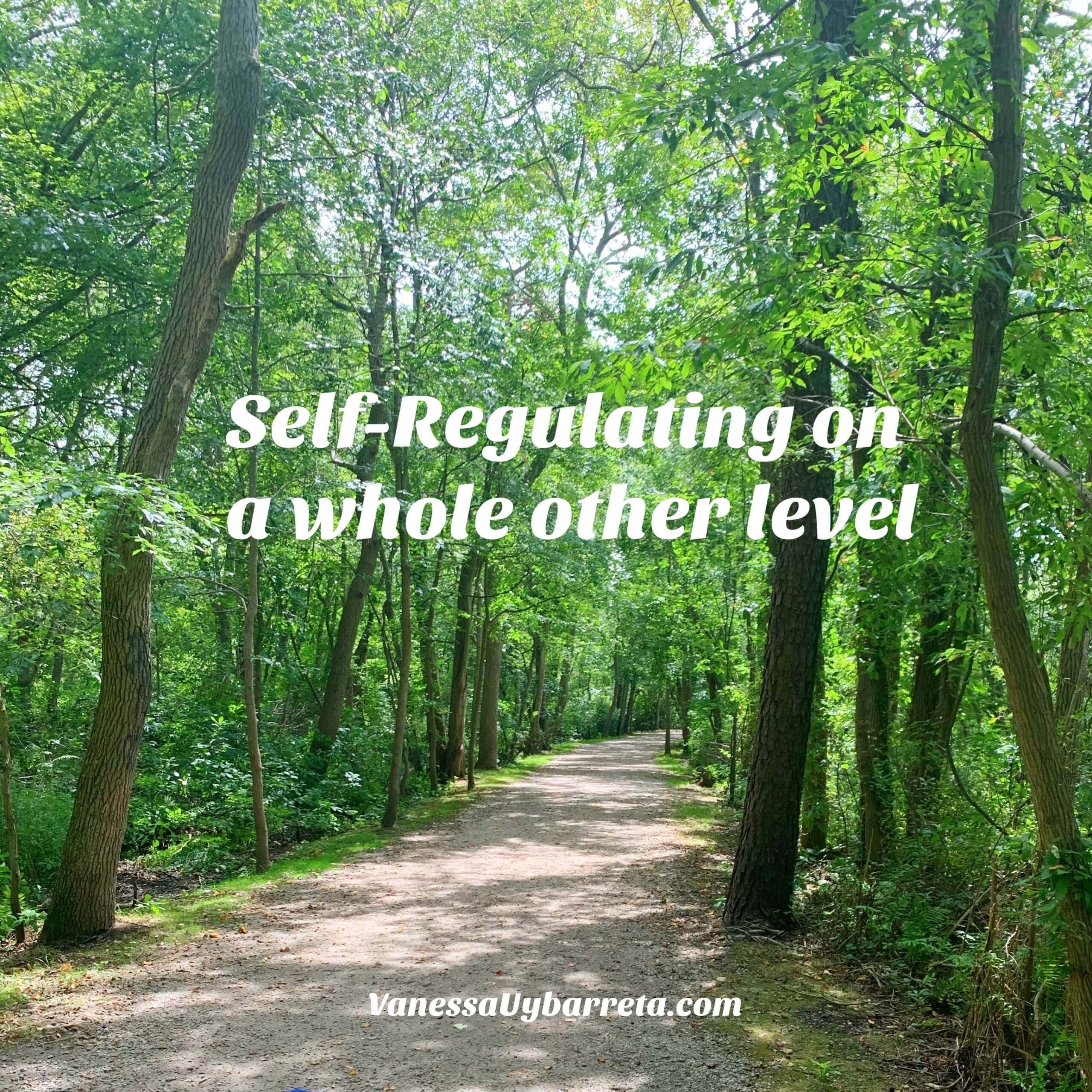 self-regulating-on-a-whole-other-level-vanessa-uybarreta